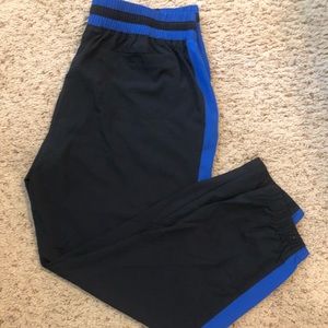 Fabletics Pants (XL)